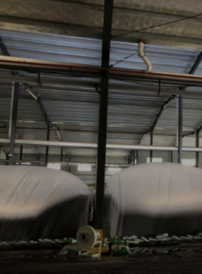 yl23455永利集团(中国)股份有限公司